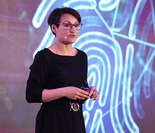 15 lat doświadczenia